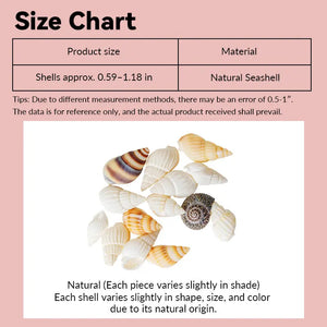 Mini Seashell Set – 1:12 Scale Dollhouse Accessories Kivvi Tales
