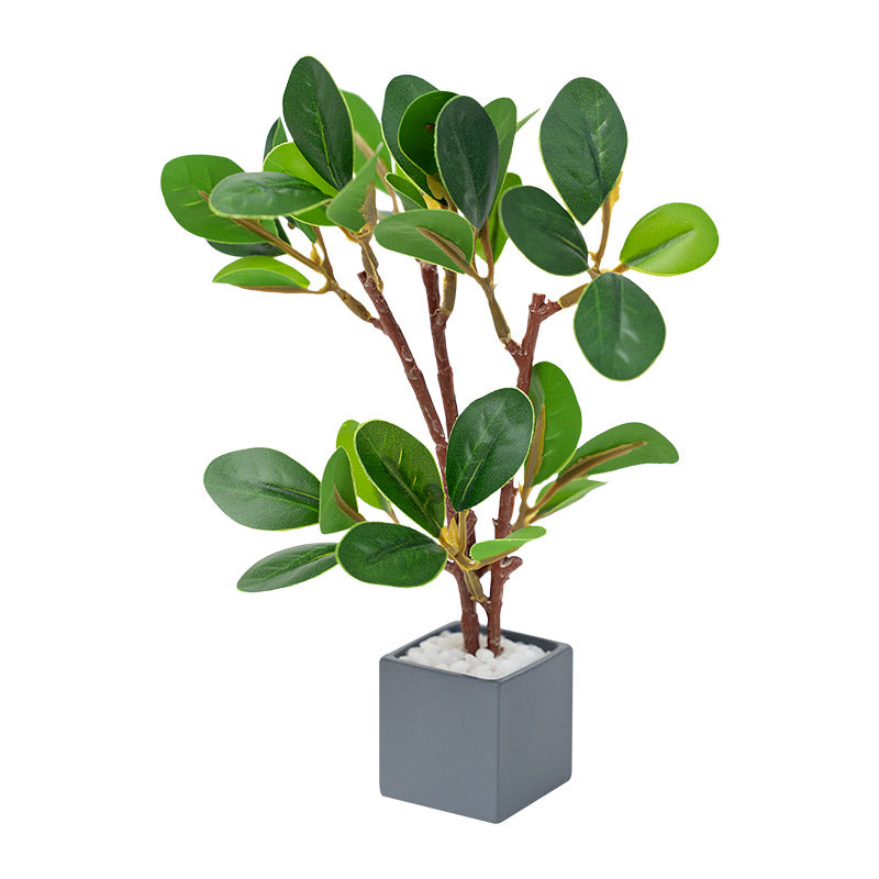 Dollhouse Miniature Plants Ficus Microcarpa in square pot, realistic 1:12 scale greenery for stylish dollhouse decor