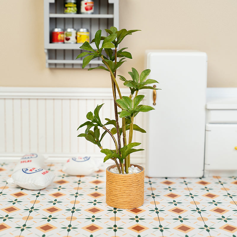 Dollhouse kitchen greenery with Pieris Japonica potted tree, perfect for cozy counters and sunny cooking scenes